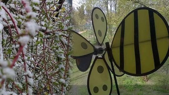 Spadł śnieg, ale wiosna też się trzyma. Atak zimy na Lubelszczyźnie 
