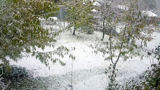 Spadł śnieg. Na drogach dobre warunki do jazdy