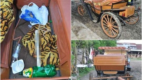 Spadł z bryczki pod koła. Woźnica był pijany