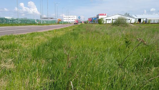 Spalarnia zwłok w Zamościu? Zgodna z prawem, ale niechciana