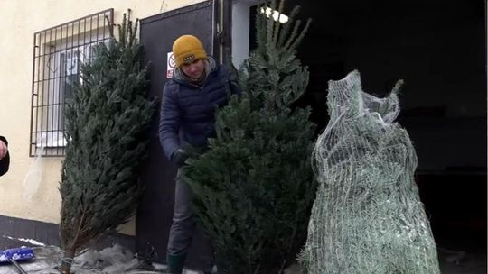Specjalna akcja na święta. Kupisz choinkę, pomożesz Hani i Lenie
