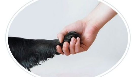 Spektakl charytatywny "Podaj łapę" w Chatce Żaka