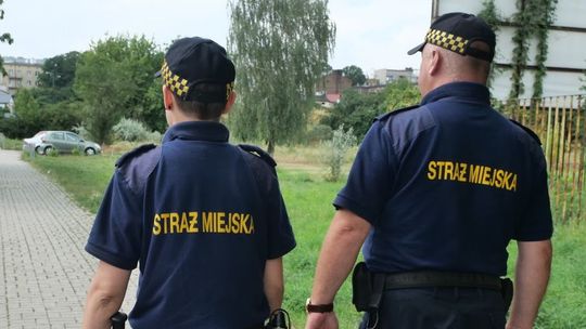 Spokojnie, to nie kontrola. Strażnicy miejscy pukają do drzwi i pytają o piece węglowe