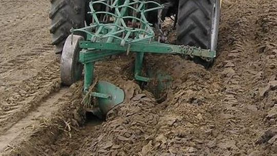 Spór o miedzę trafił na policję