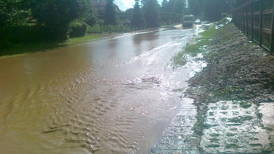 Sporniak Palikijski: Rzeka zamiast drogi (zdjęcia)