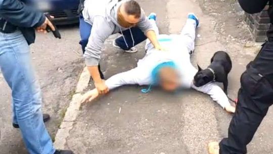 Sportowcy posiedzą za wyłudzenia. CBŚP rozbiło gang (wideo)