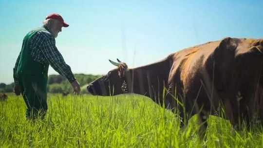 Spotkania z filmem w CSK: "Dni, na które czekamy"