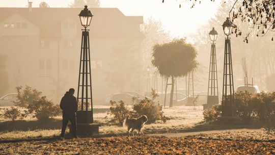 Sprzątaj po swoim psie. W Zamościu będą rozdawać darmowe woreczki na psie odchody