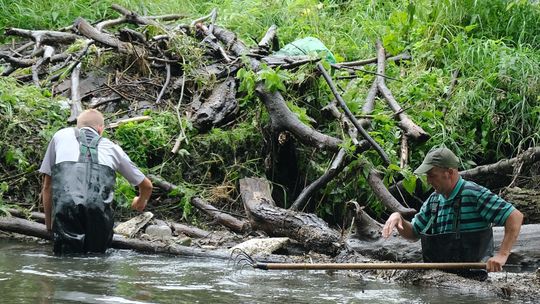 Sprzątają sterty odpadów z Bystrzycy. Jest ich tak dużo, że nie można przepłynąć kajakiem