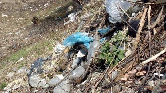Sprzątną dzikie wysypiska śmieci w Lublinie