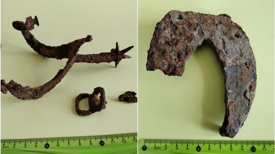 Średniowieczna ostroga i podkowa oraz starożytne ciosło na hrubieszowskiej ziemi