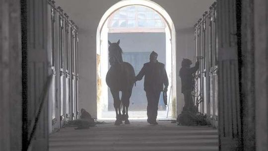 Stadnina koni w Janowie Podlaskim Pomnikiem Historii