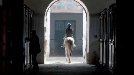 Stadnina koni w Janowie Podlaskim ze stratą 1,5 mln zł