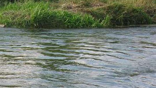 Stan wód w rzekach może się podnieść, bo ma ulewnie padać