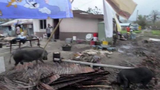 Stan wyjątkowy po ataku niszczycielskiego cyklonu na Vanuatu