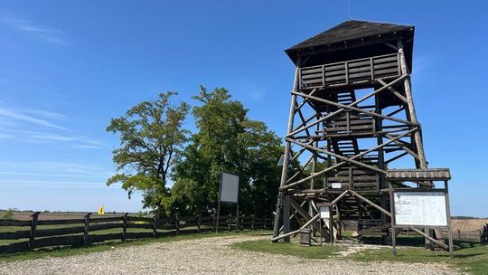 Stara rozebrana. Gmina postawi nową wieżę widokową