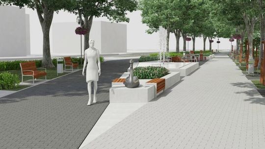 Stare drzewa, nowy Park Solidarności w Biłgoraju