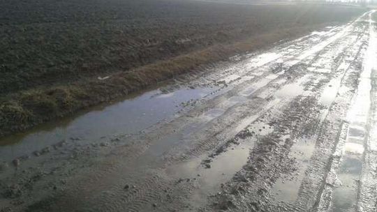 Starościn tonie w błocie