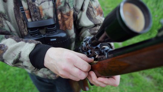 Starosta kontra koło łowieckie. Pierwszy taki wyrok w Polsce