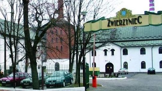 Starosta potwierdza: W Zwierzyńcu wszystko gra