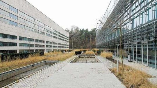 Start-upy i unijne miliony. "Zakładali kolejne spółki, tworzyli zupełnie sztuczne byty"