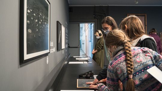 Startuje Galeria Dostępna w Labiryncie. To pierwszy taki projekt w Polsce