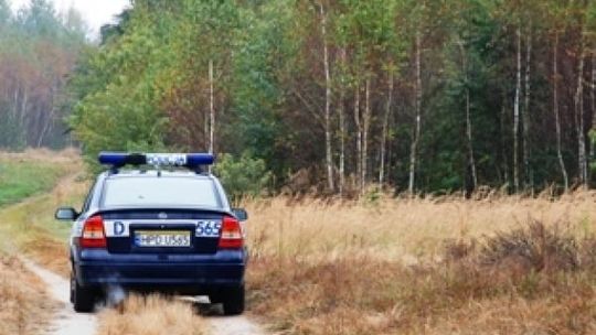 Staruszka zaginęła na bagnach