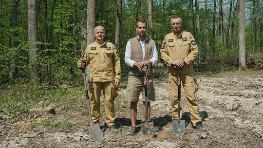 Stary Gaj trochę się odmłodzi. Ale do pełnej formy wróci za... 140 lat