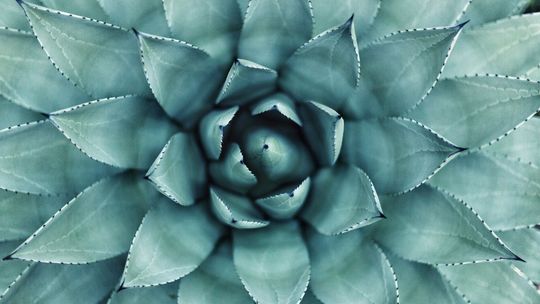 Starzenie się skóry a jej pielęgnacja – to trzeba wiedzieć