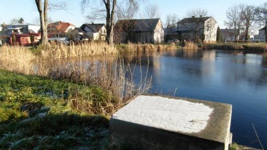 Staw w Baranowie jednak bez fontanny