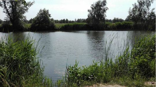 Stawy będą atrakcją gminy Łomazy