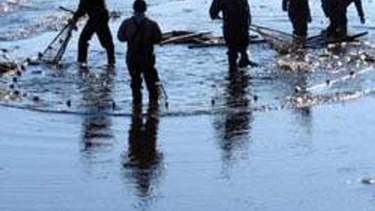 Stawy rybne w Momotach (nr 24) - 0 głosów