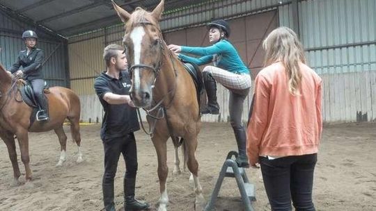 Stęp, kłus i galop. Egzamin wstępny na jeździectwo i hipologię (zdjęcia)