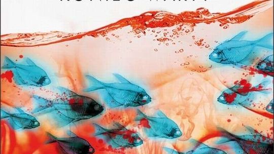 Stephen King, "Koniec warty"