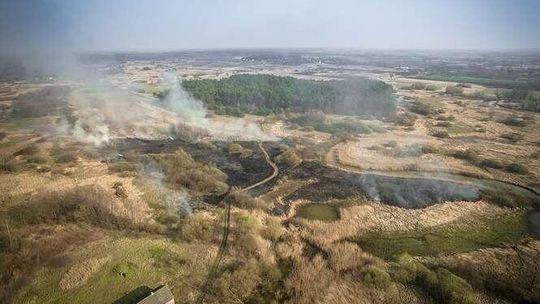 Stop pożarom traw! Zobacz czym to się kończy. Film Czytelnika