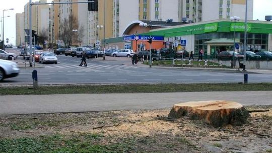 Strabag przebuduje ul. Norwida w Puławach