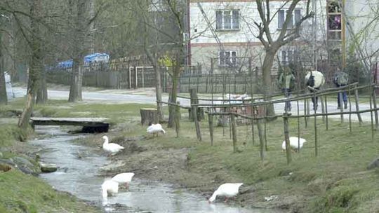 Strach zawitał do wsi