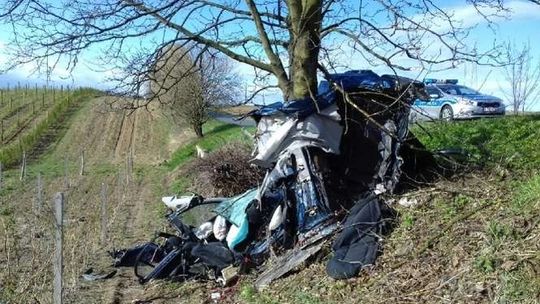 Stracił panowanie i rozbił BMW na drzewie. 18-latek nie żyje. Auto rozpadło się na dwie części