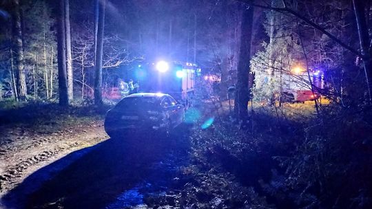 Straszne odkrycie w Lubelskiem. Zwłoki ojca i córki znalezione w lesie