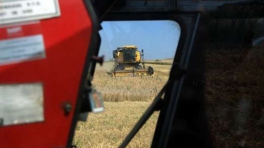 Straty w rolnictwie z powodu upałów. Ponad 19 tysięcy gospodarstw poszkodowanych