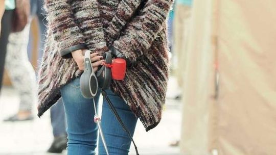 Straż Miejska kontra właściciele psów