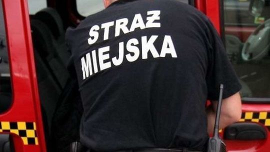 Straż Miejska w Białej Podlaskiej ciągle czeka na nowego komendanta 