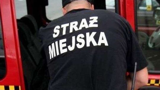 Straż Miejska w Świdniku szuka pracowników