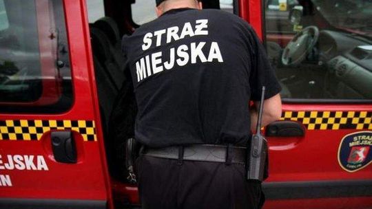 Straż Miejska zastawi pułapki na śmiecących. Pomoże kamera z czujnikiem ruchu