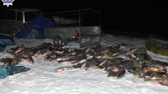  Straż Rybacka czuwa: Za karasie i leszcze do aresztu