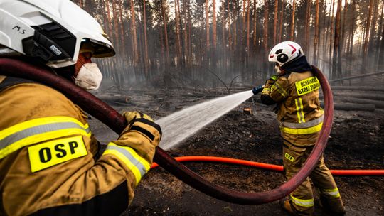 Około 300 strażaków zaangażowanych jest w sobotę w dogaszanie pogorzeliska w Puszczy Solskiej, w pow. biłgorajskim. Pożar wybuch we wtorek, objął ok. 300 ha lasu.