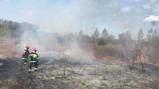 Strażacy gasili płonące trawy w Kajetanowie