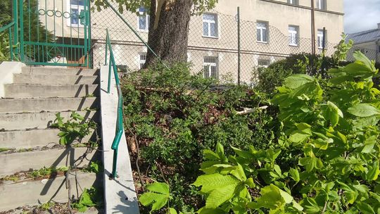 Strażacy mają pełne ręce roboty z powodu wichury