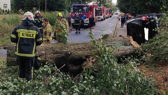 Strażacy mieli pełne ręce roboty. Poniedziałek znowu pod znakiem alertów IMGW