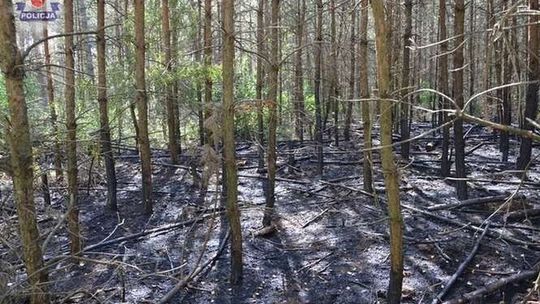 Strażacy od 3 lat podpalali lasy i pola